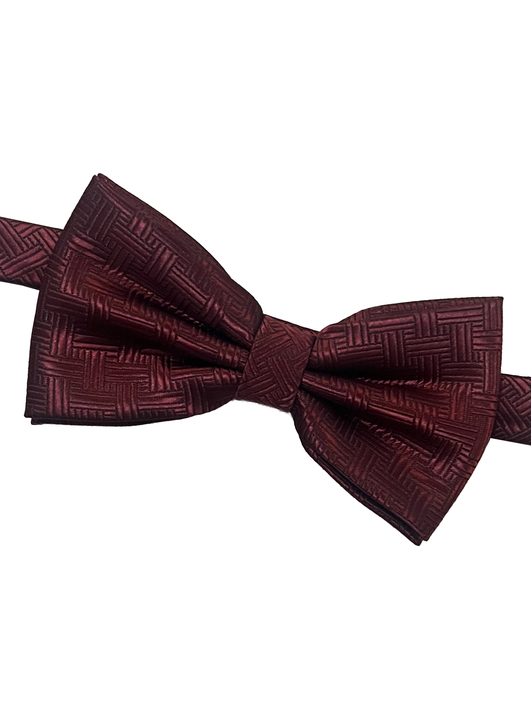 Papillon geometric