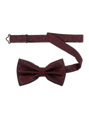Papillon geometric