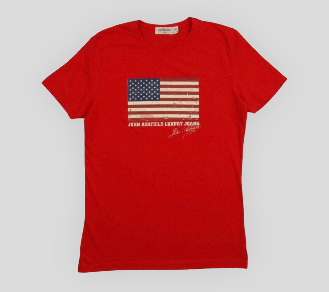Men's USA Flag T-shirt in cotton stretch