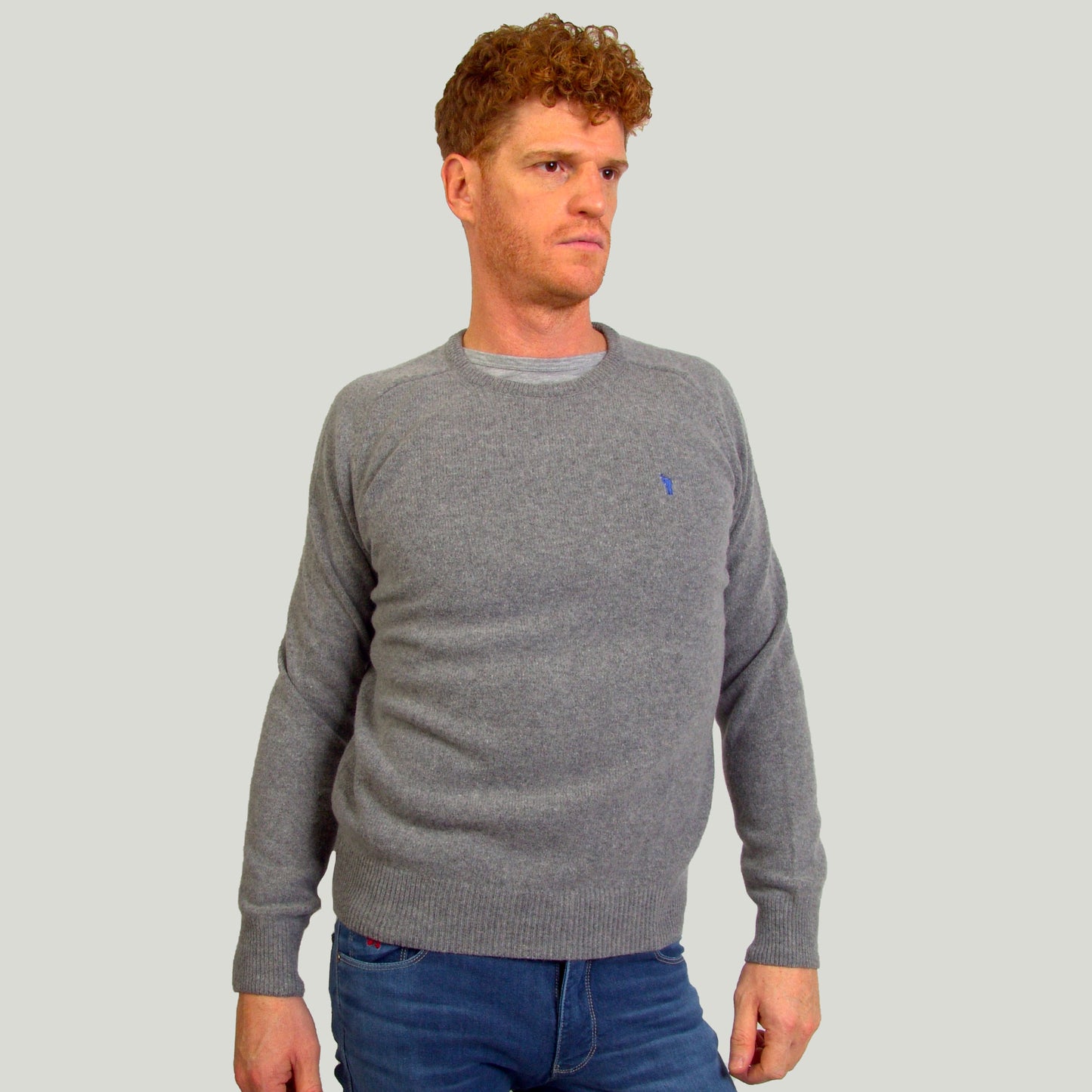 Men Crewneck sweater in lambswool